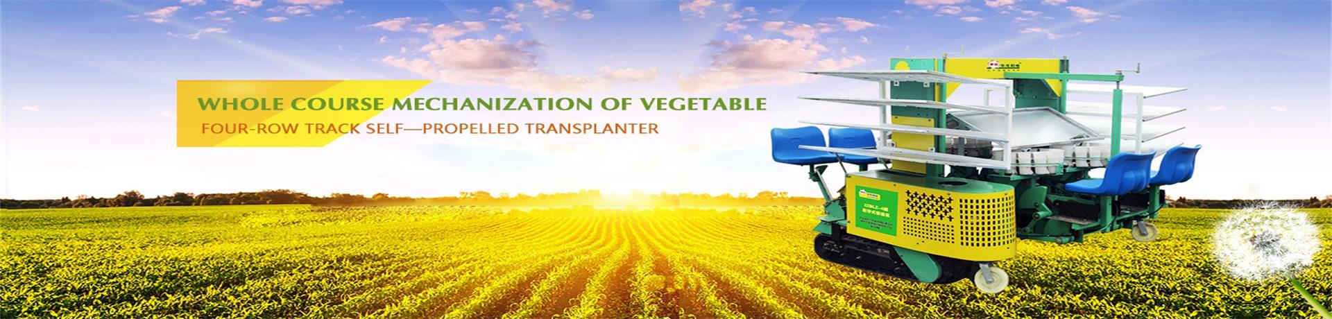 Whole Course Mechanization of Vegetable
